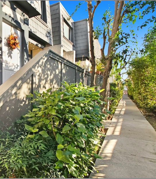 Elfyer - TARZANA, CA House - For Sale