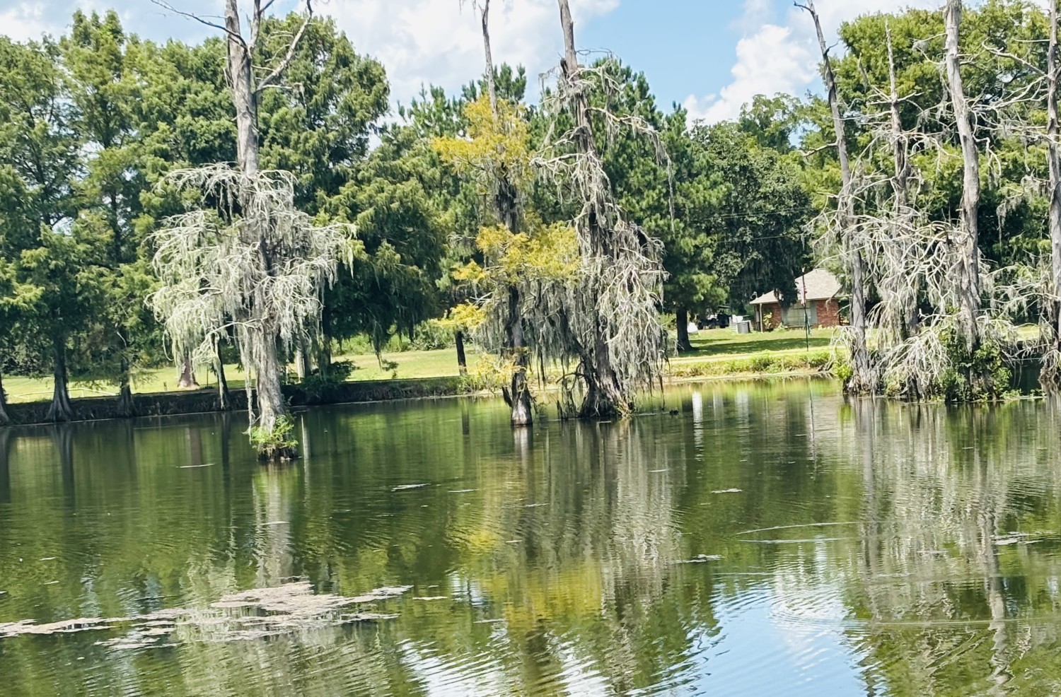 Elfyer - Shepherd, TX House - For Sale
