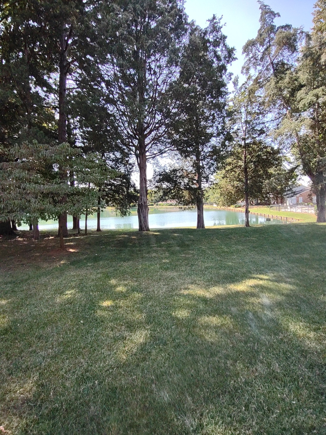 Elfyer - Charlotte, NC House - For Sale