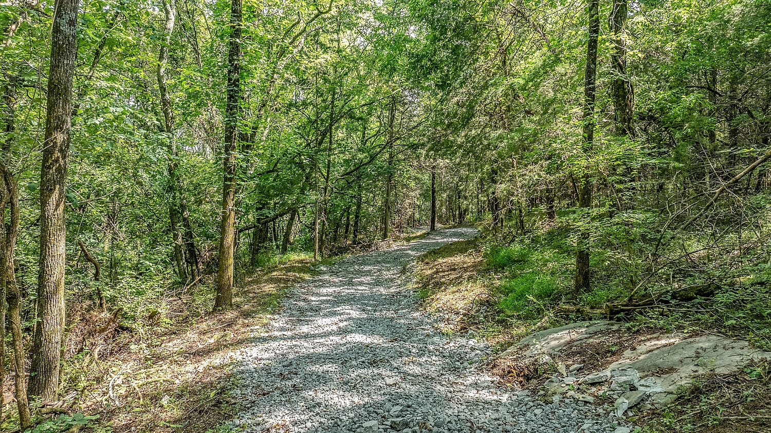 Elfyer - Franklin, TN House - For Sale