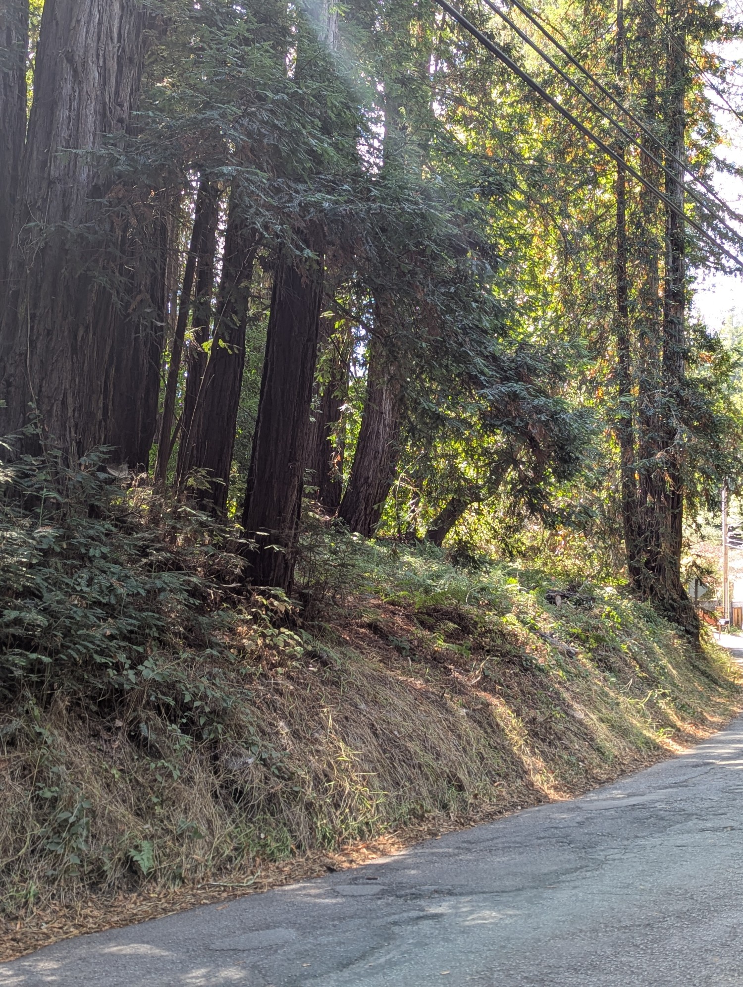 Elfyer - Soquel, CA House - For Sale