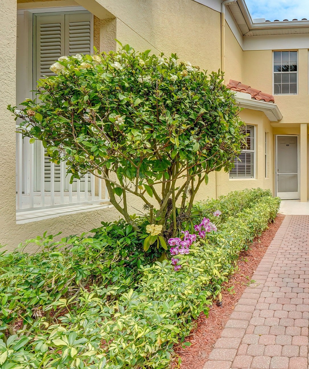 Elfyer - Naples, FL House - For Sale