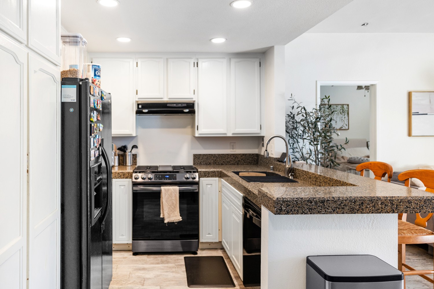 Elfyer - San Diego, CA House - For Sale