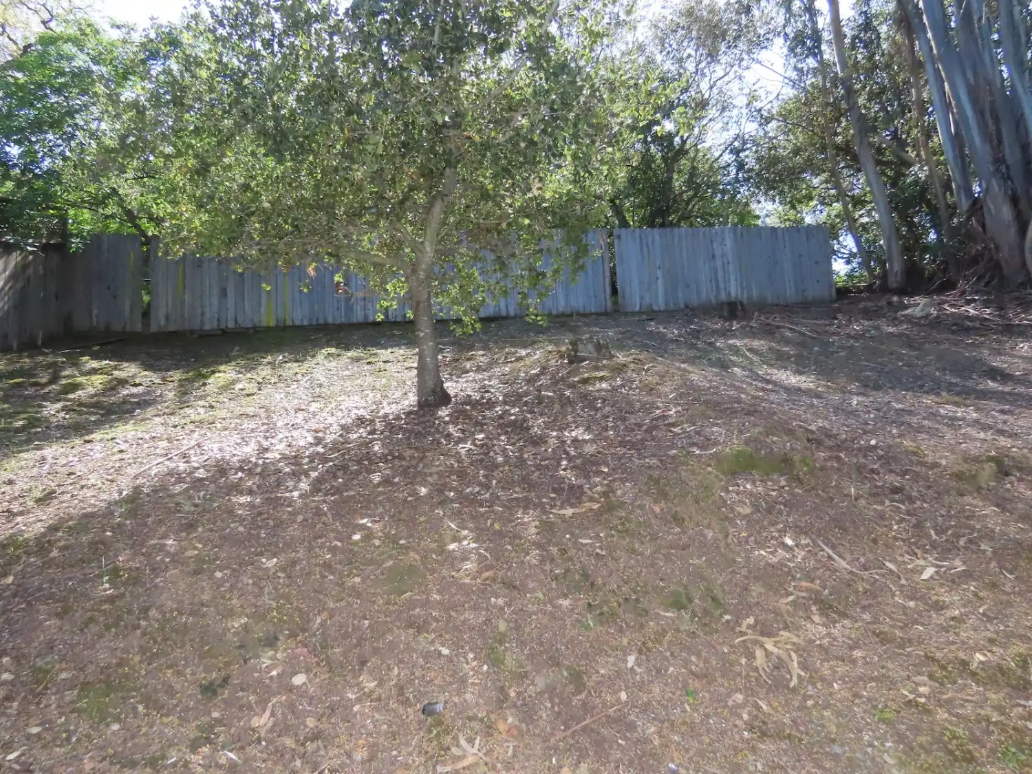 Elfyer - Novato, CA House - For Sale