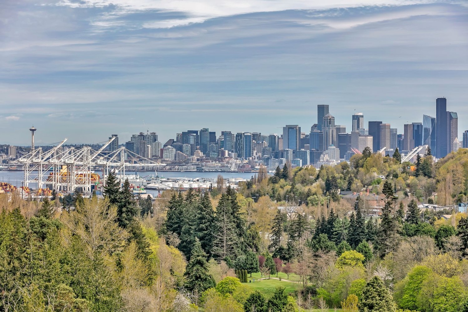 Elfyer - Seattle, WA House - For Sale