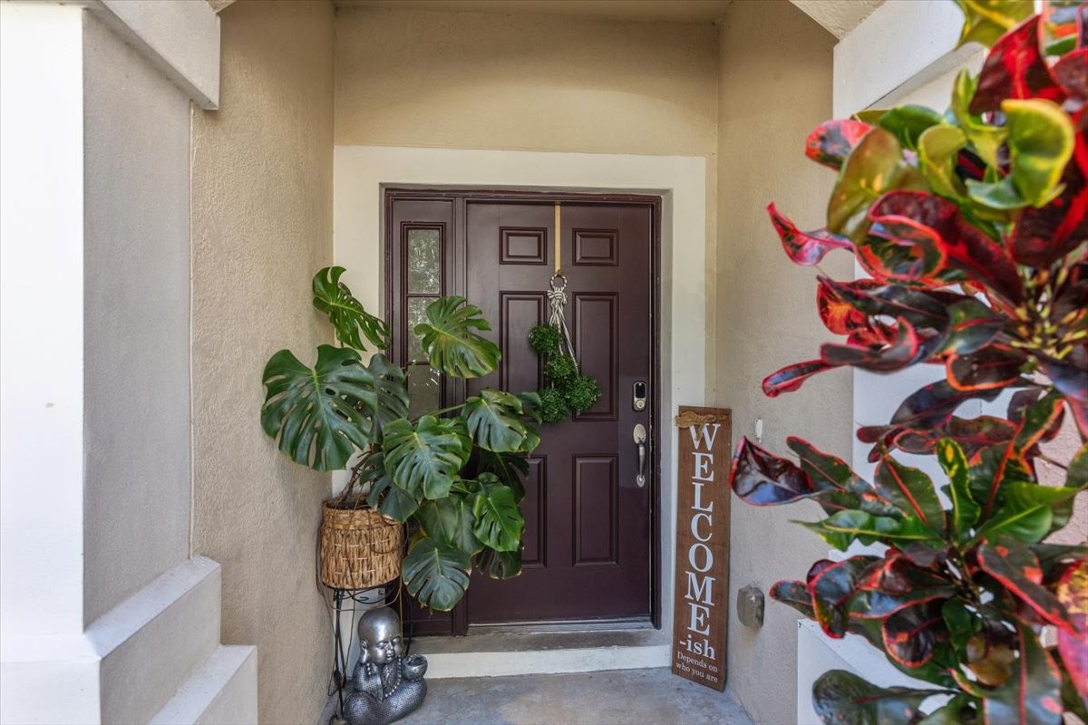 Elfyer - Wesley Chapel, FL House - For Sale