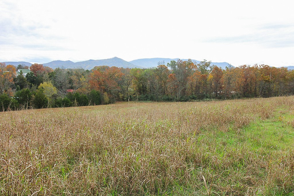 Elfyer - Dandridge, TN House - For Sale