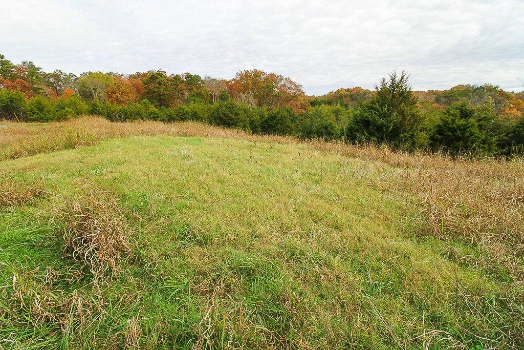 Elfyer - Dandridge, TN House - For Sale