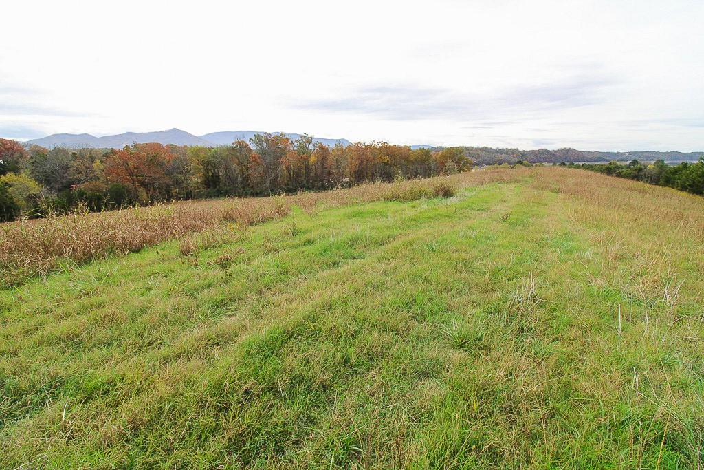 Elfyer - Dandridge, TN House - For Sale