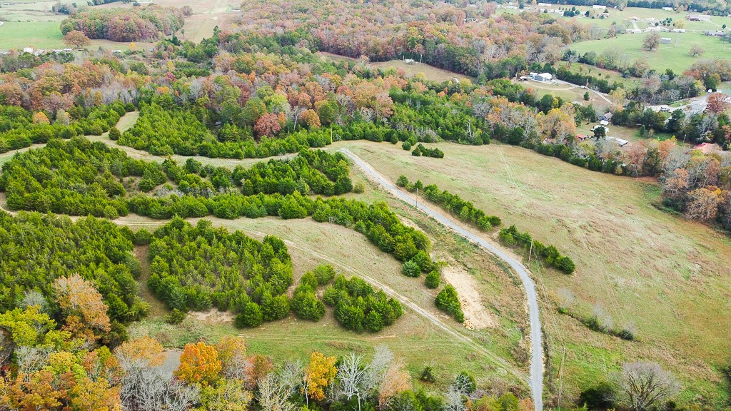 Elfyer - Dandridge, TN House - For Sale