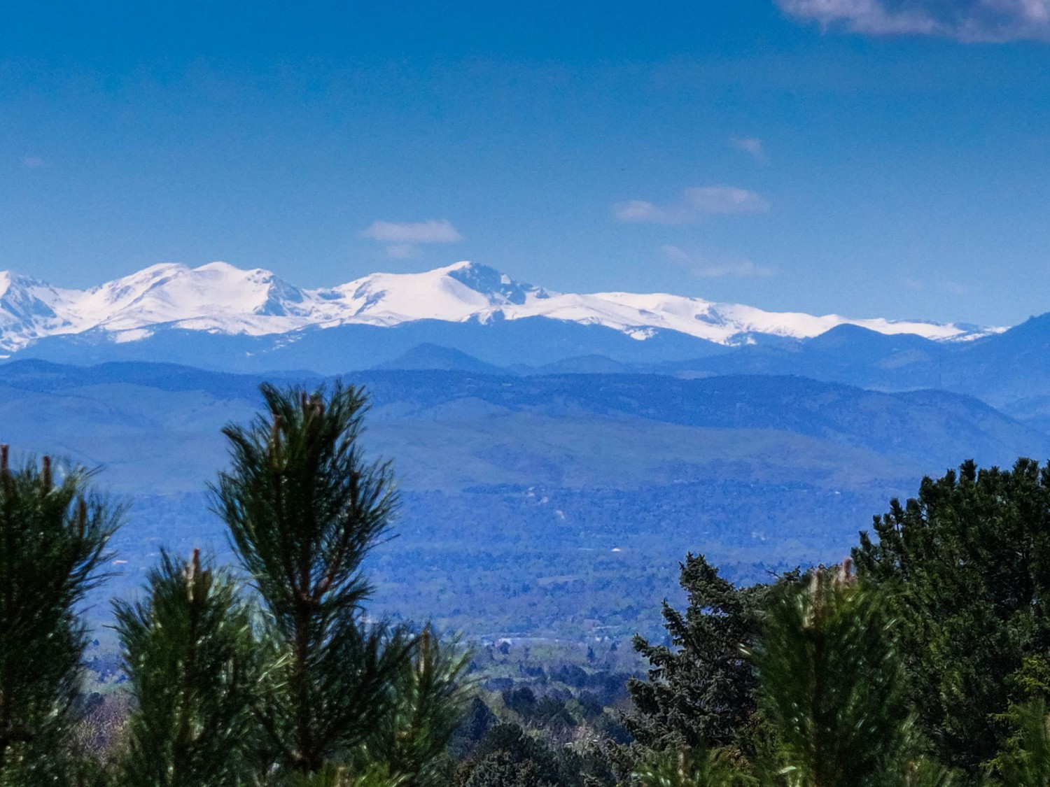 Elfyer - Greenwood Village, CO House - For Sale