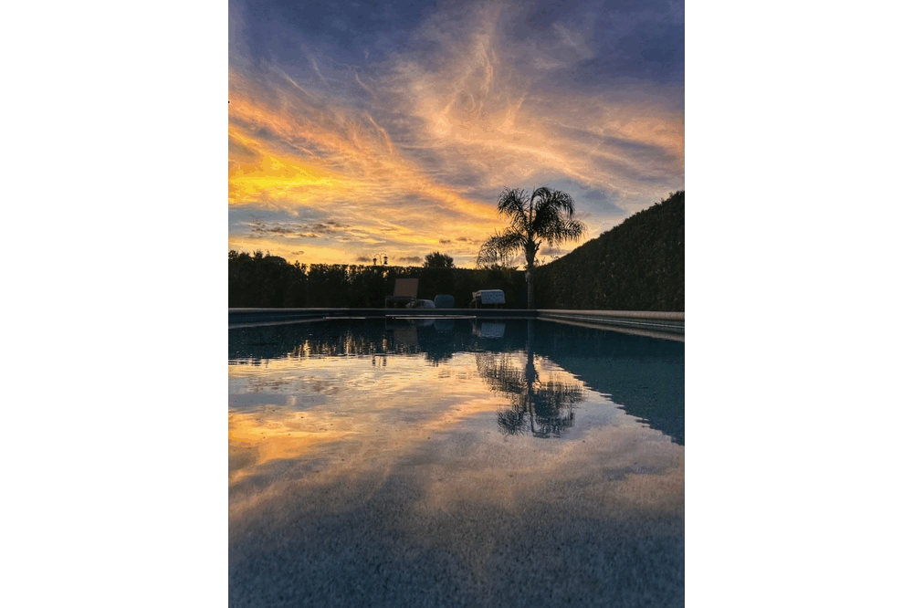 5709 White Trillium Loop