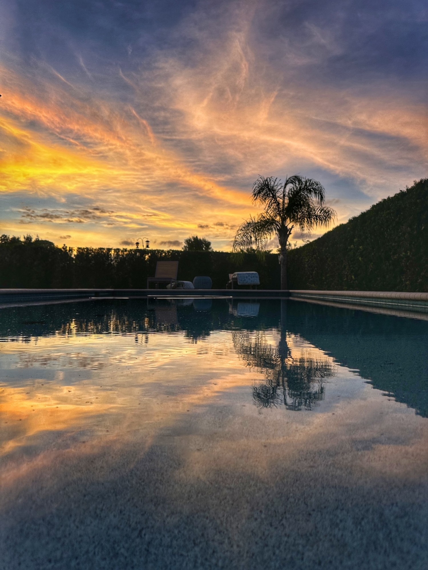 Elfyer - Land O Lakes, FL House - For Sale