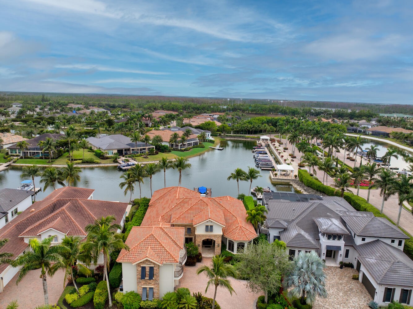 Elfyer - Miromar Lakes, FL House - For Sale