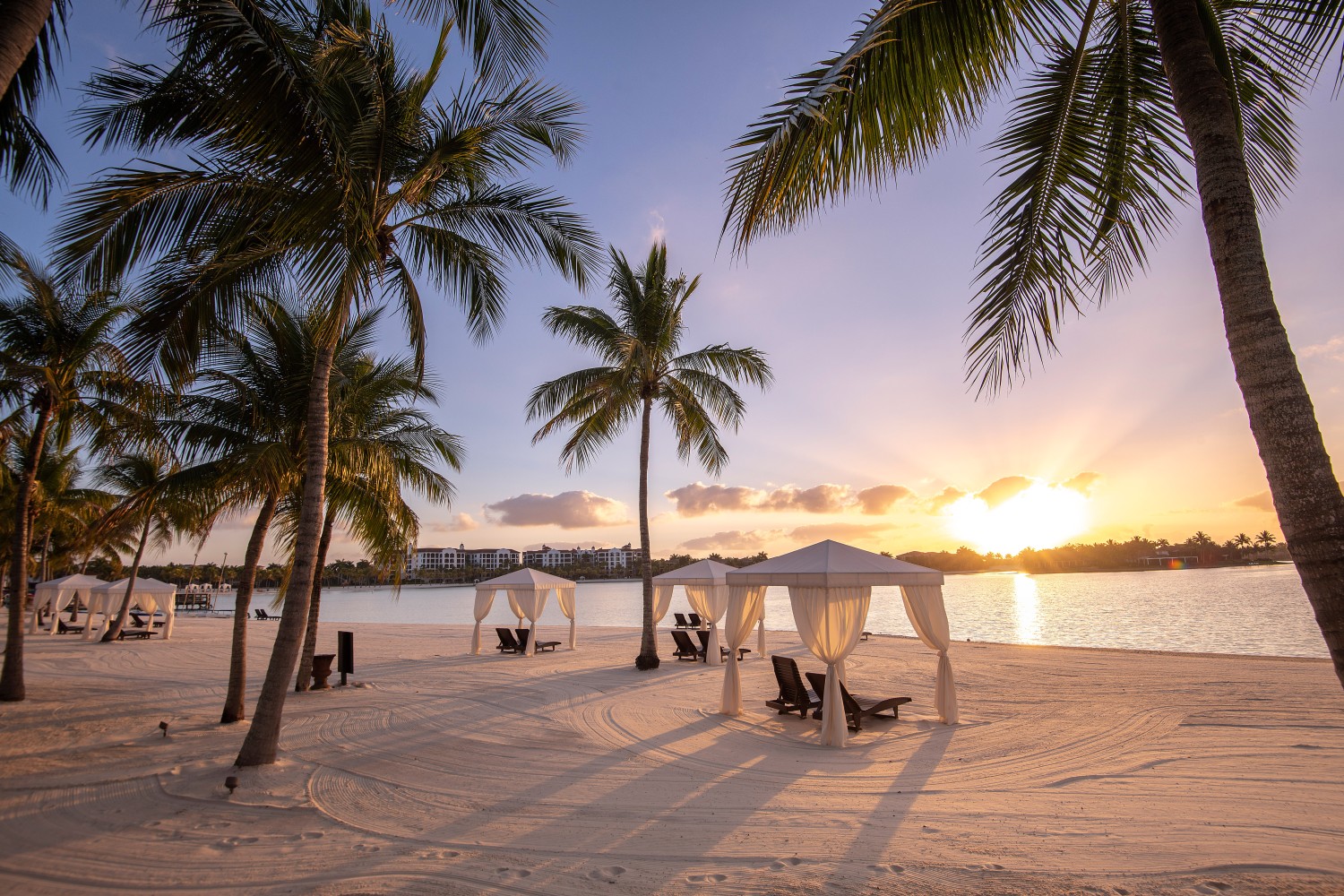 Elfyer - Miromar Lakes, FL House - For Sale