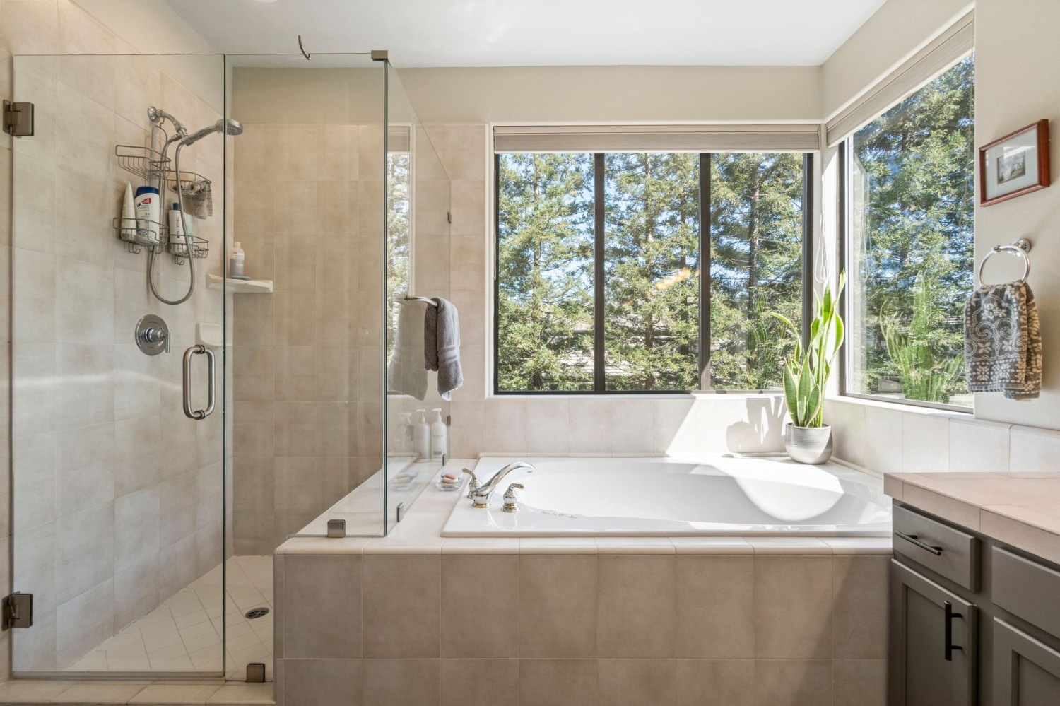 Elfyer - Santa Rosa, CA House - For Sale