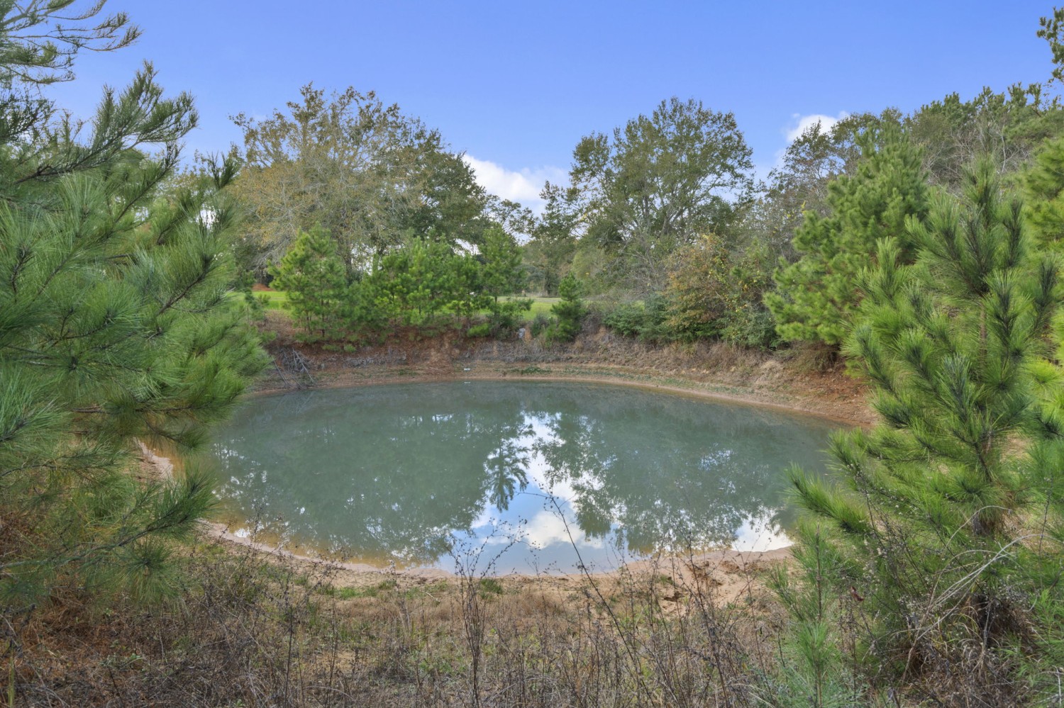 Elfyer - Waller, TX House - For Sale