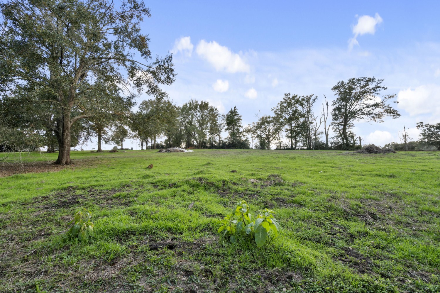 Elfyer - Waller, TX House - For Sale