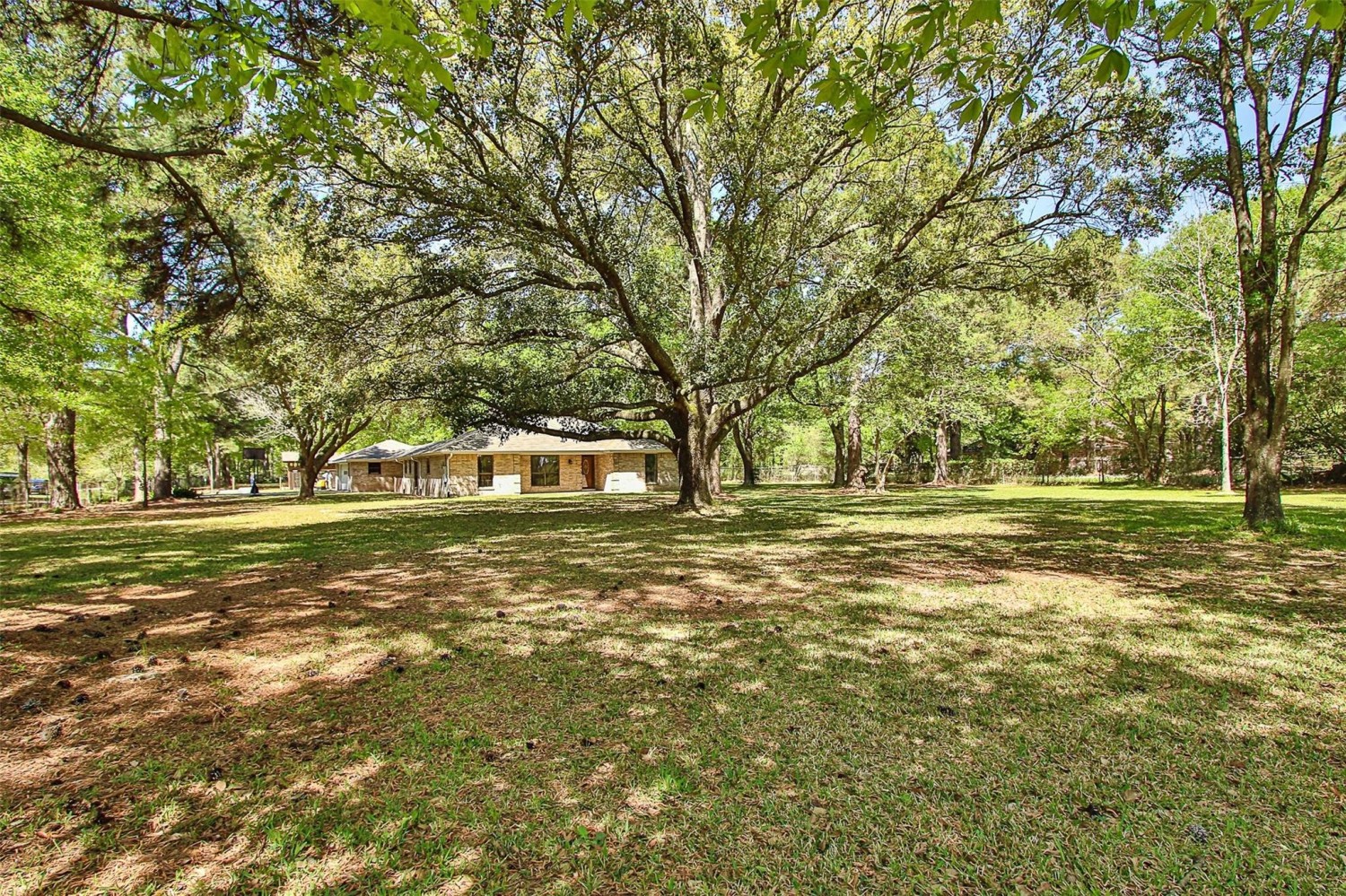 Elfyer - Cypress, TX House - For Sale