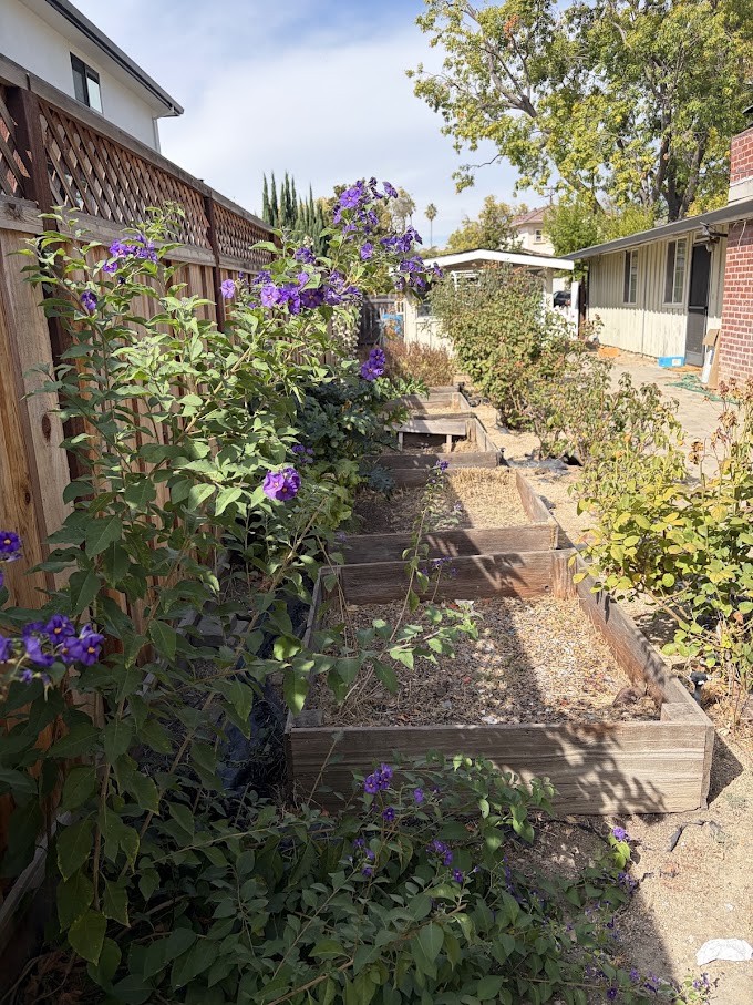 Elfyer - Cupertino, CA House - For Sale