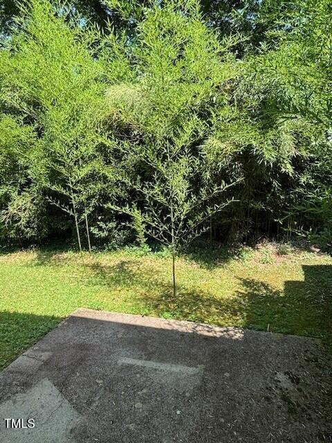 Elfyer - Cary, NC House - For Sale