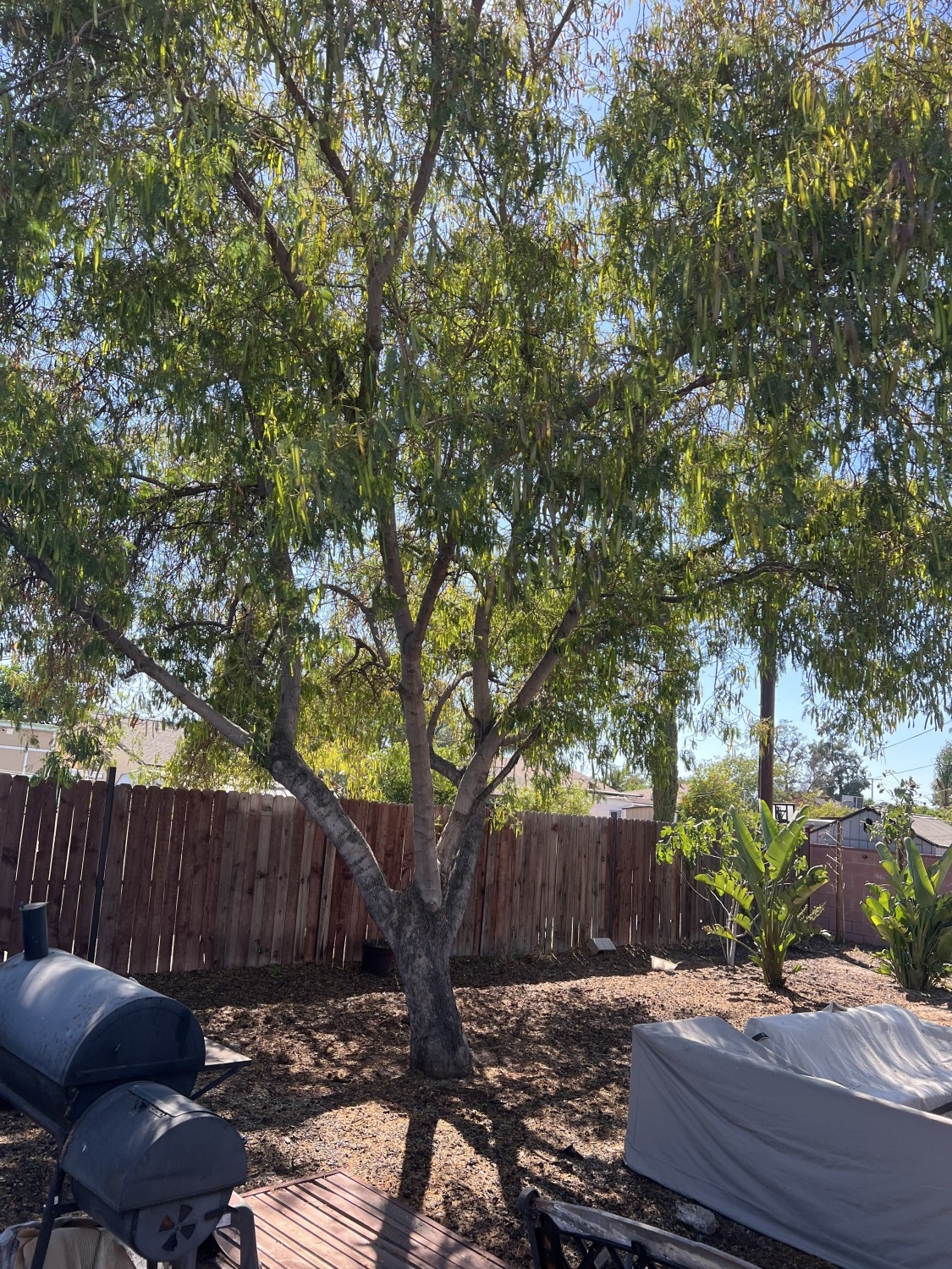 Elfyer - Sun Valley, CA House - For Sale