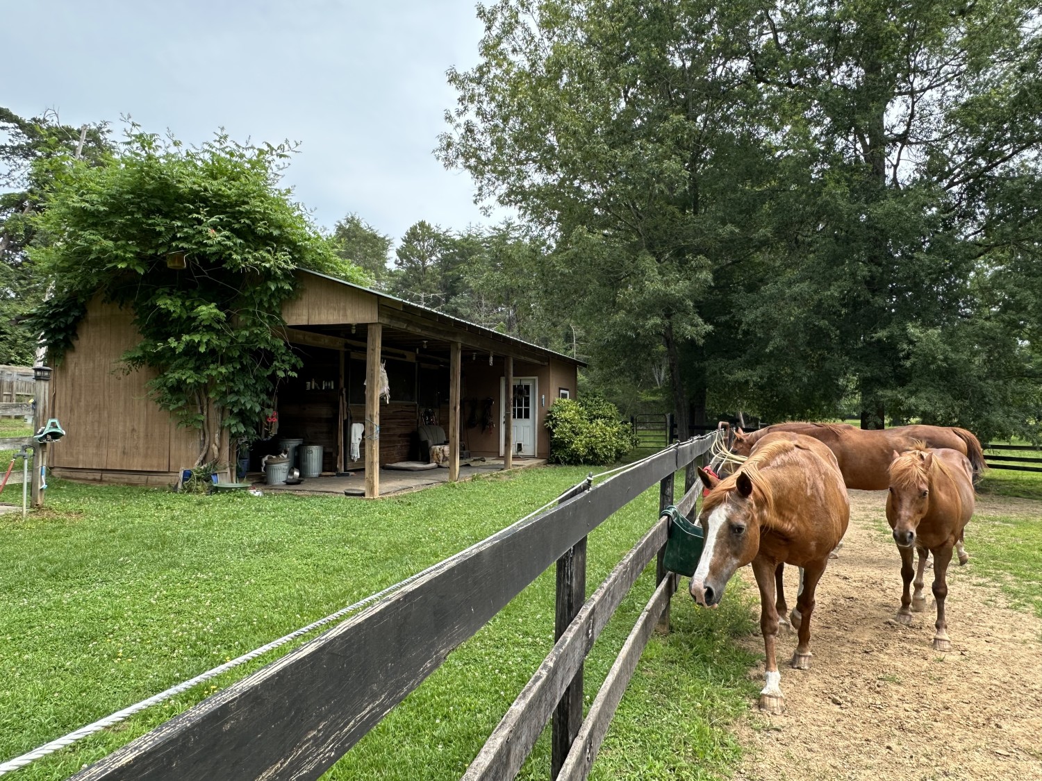 Elfyer - Scottsville, VA House - For Sale