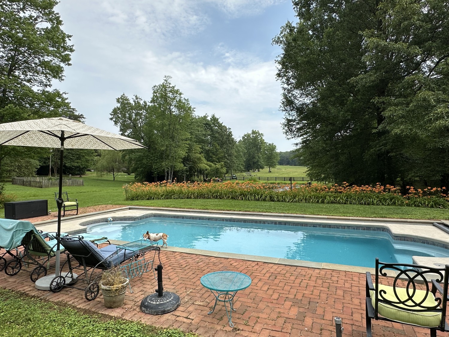 Elfyer - Scottsville, VA House - For Sale