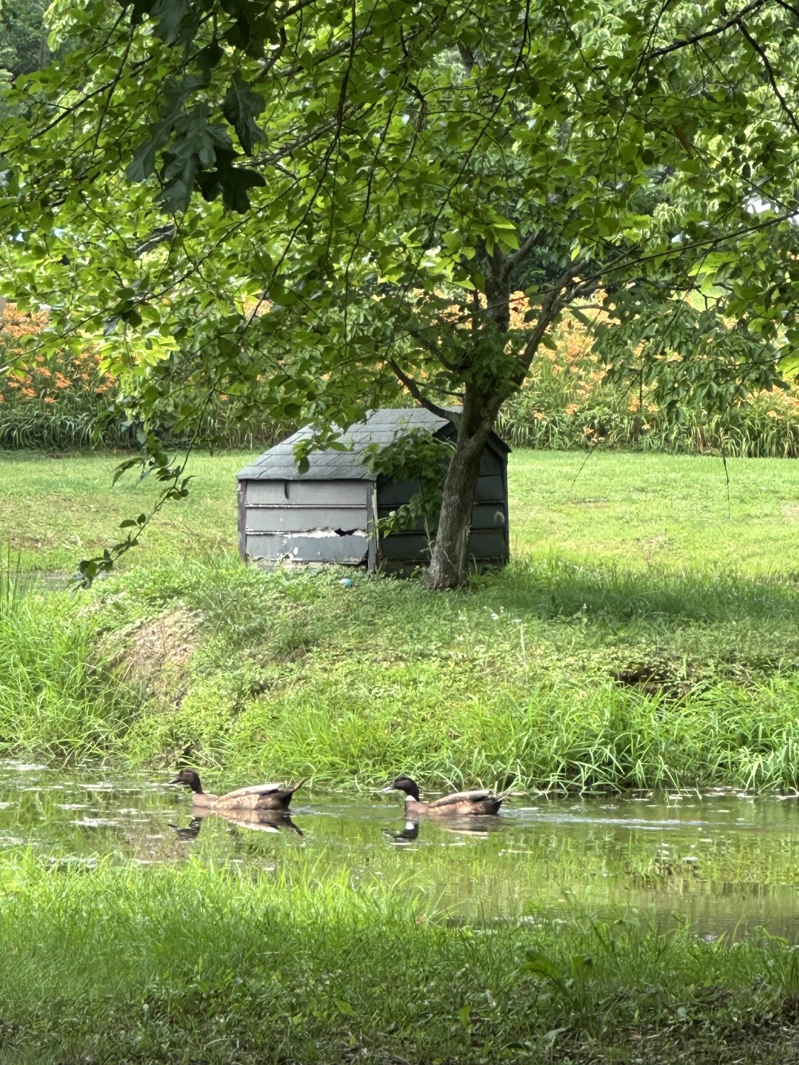 Elfyer - Scottsville, VA House - For Sale