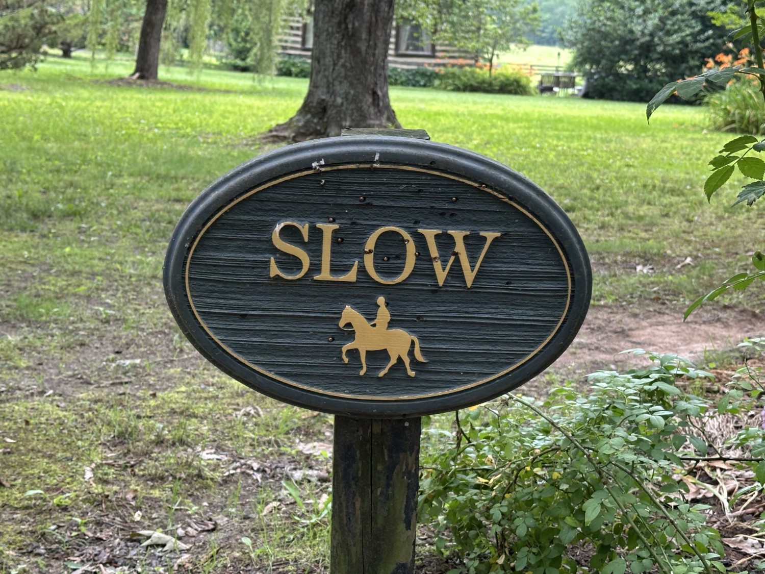 Elfyer - Scottsville, VA House - For Sale