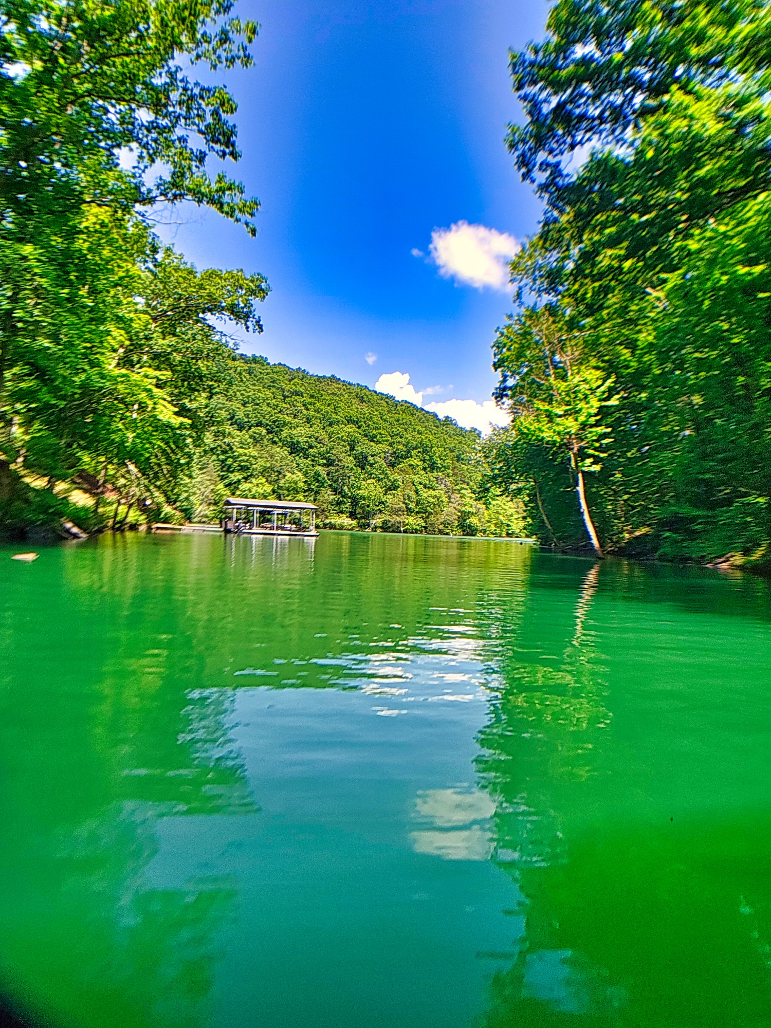 Elfyer - La Follette, TN House - For Sale