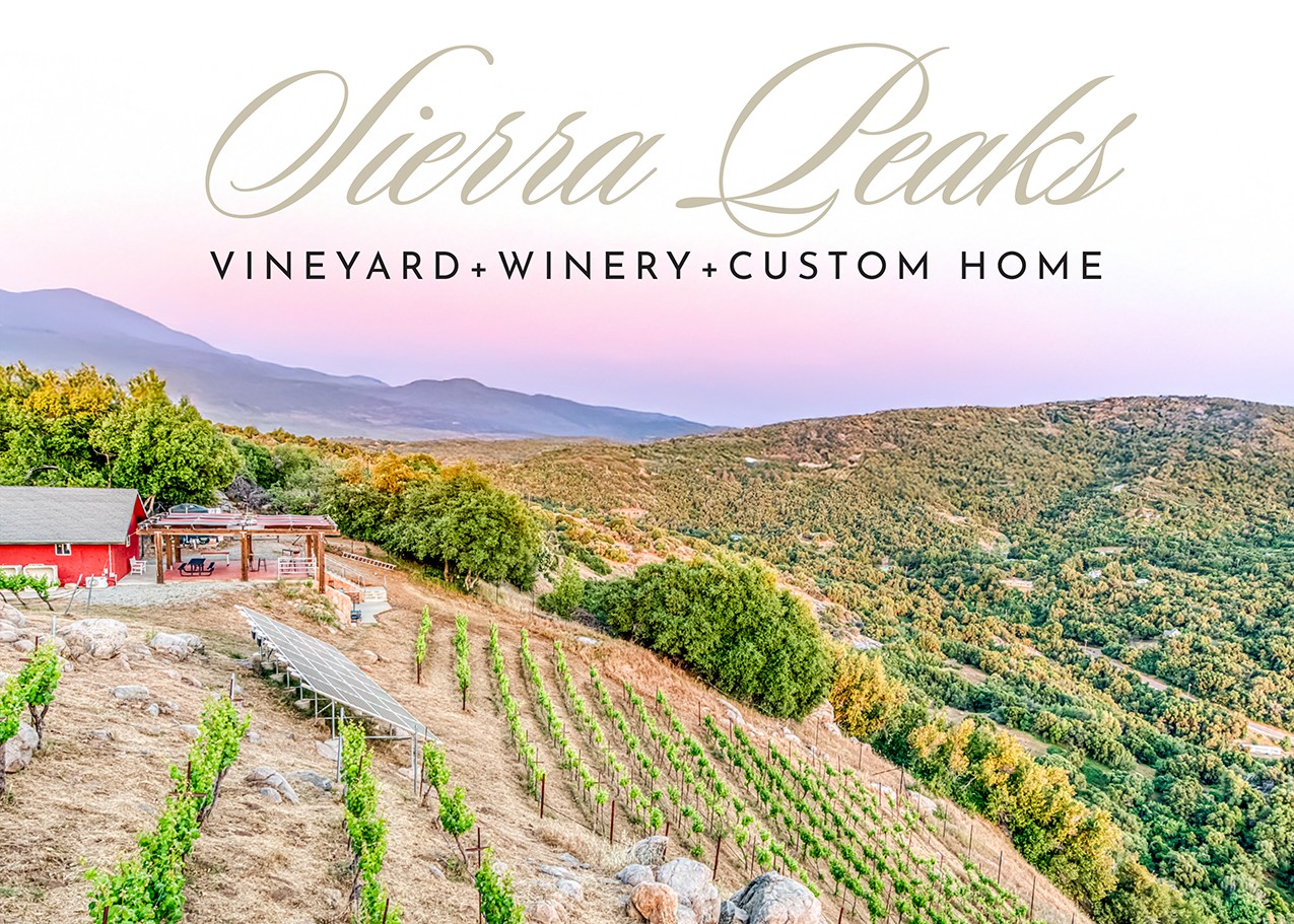 Elfyer - Squaw Valley, CA House - For Sale