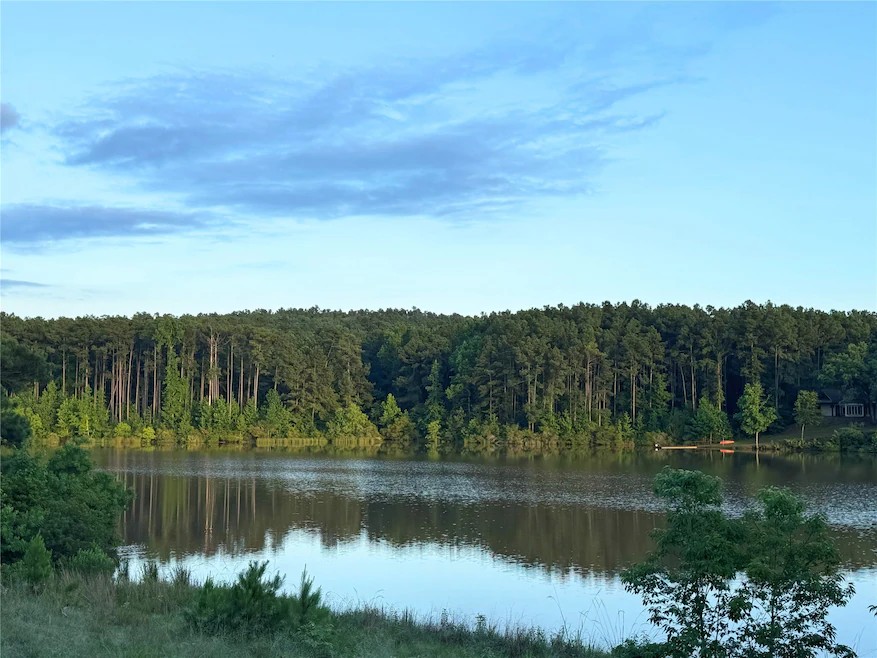 Elfyer - Montalba, TX House - For Sale