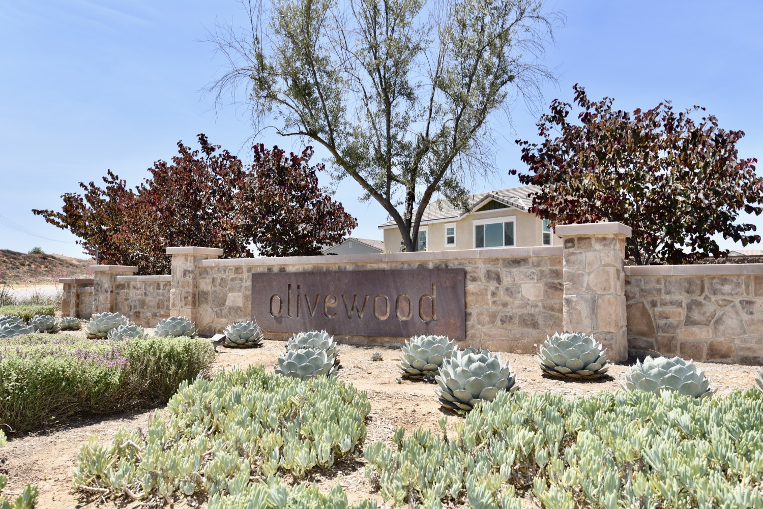 Elfyer - Beaumont, CA House - For Sale