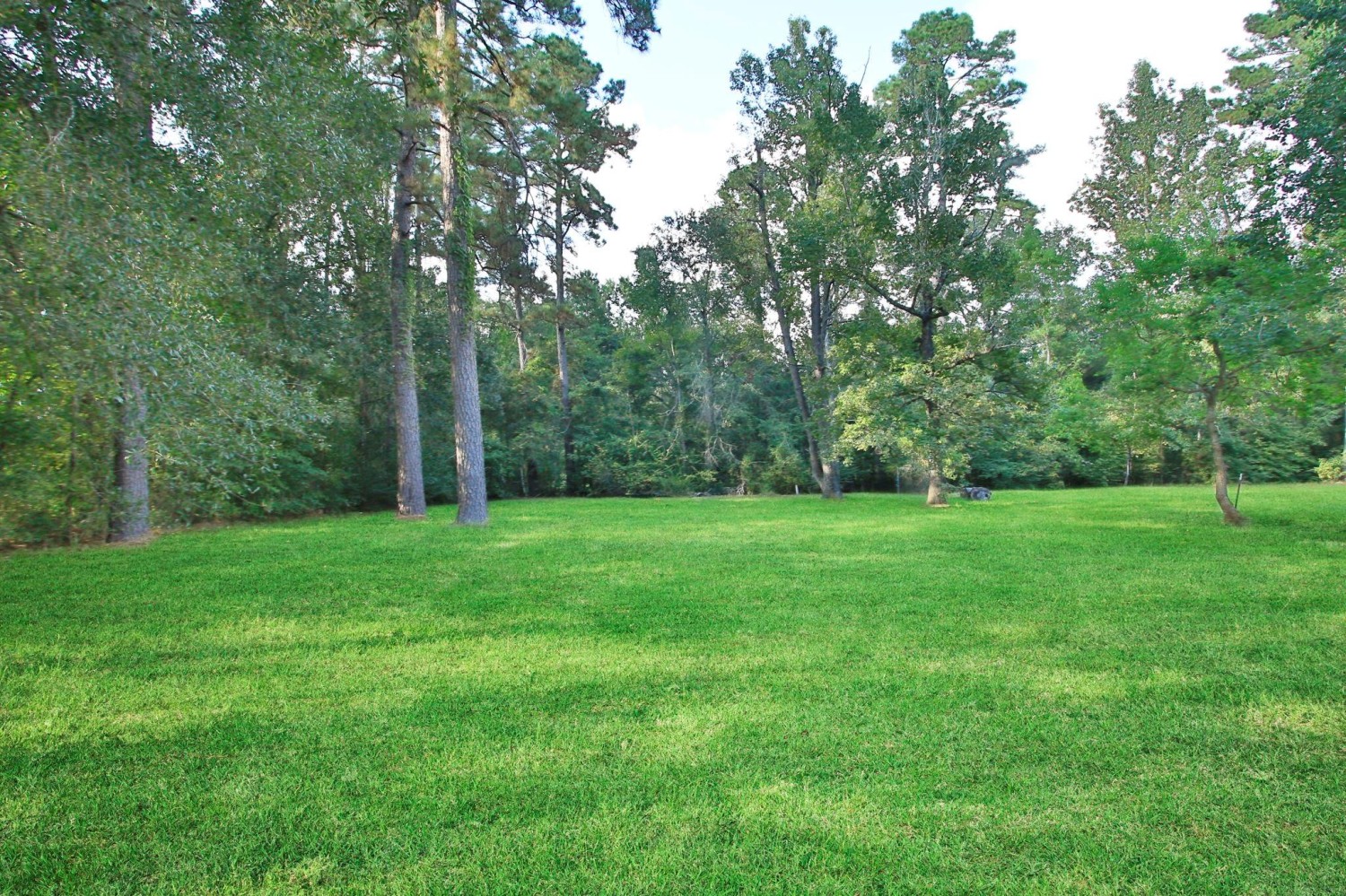 Elfyer - New Caney, TX House - For Sale