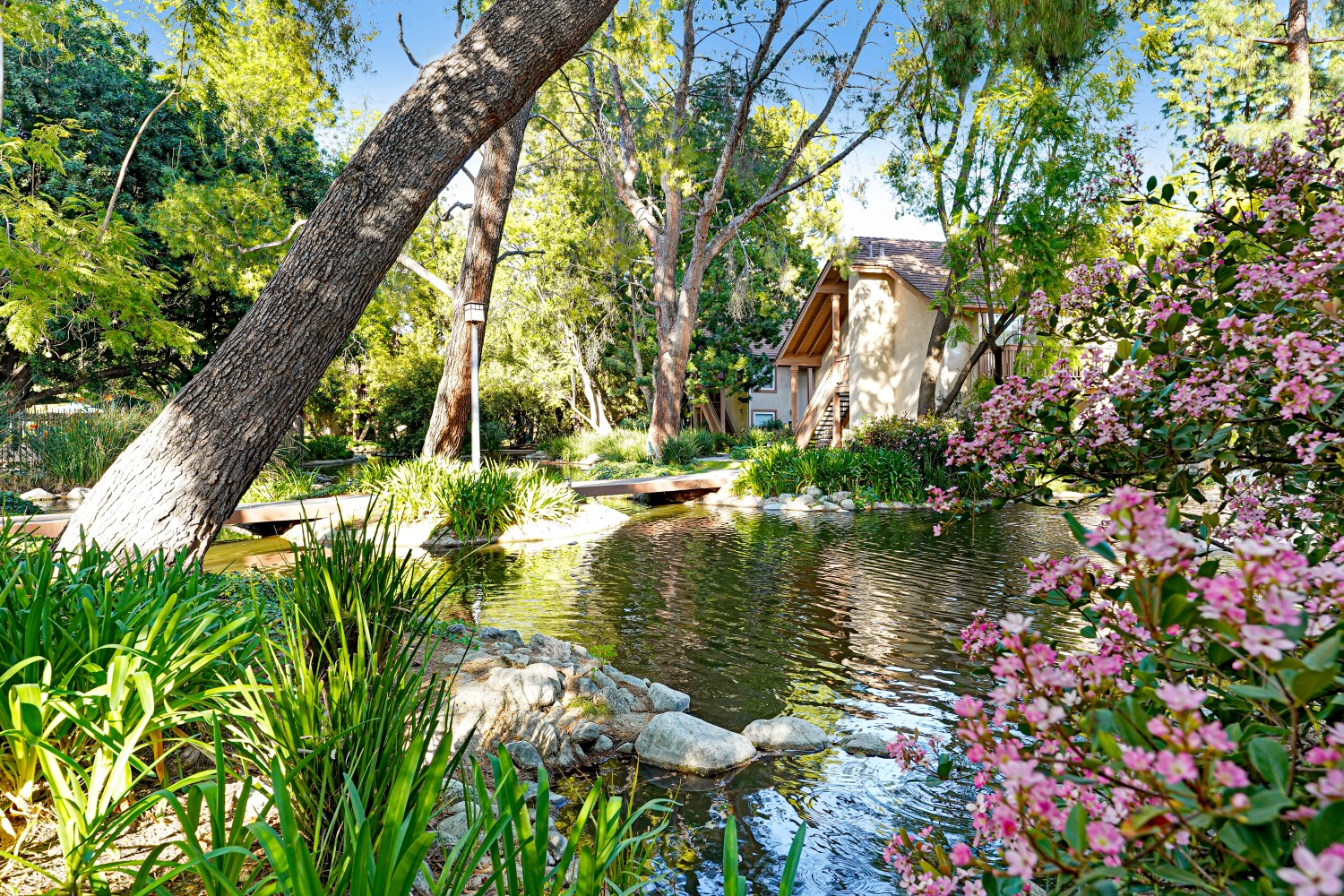 Elfyer - Canoga Park, CA House - For Sale