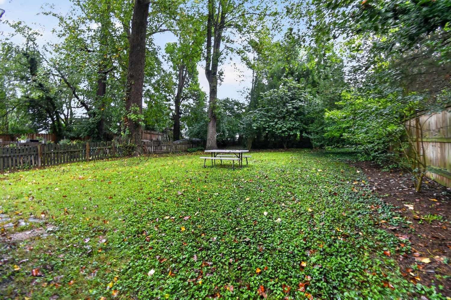 Elfyer - Silver Spring, MD House - For Sale