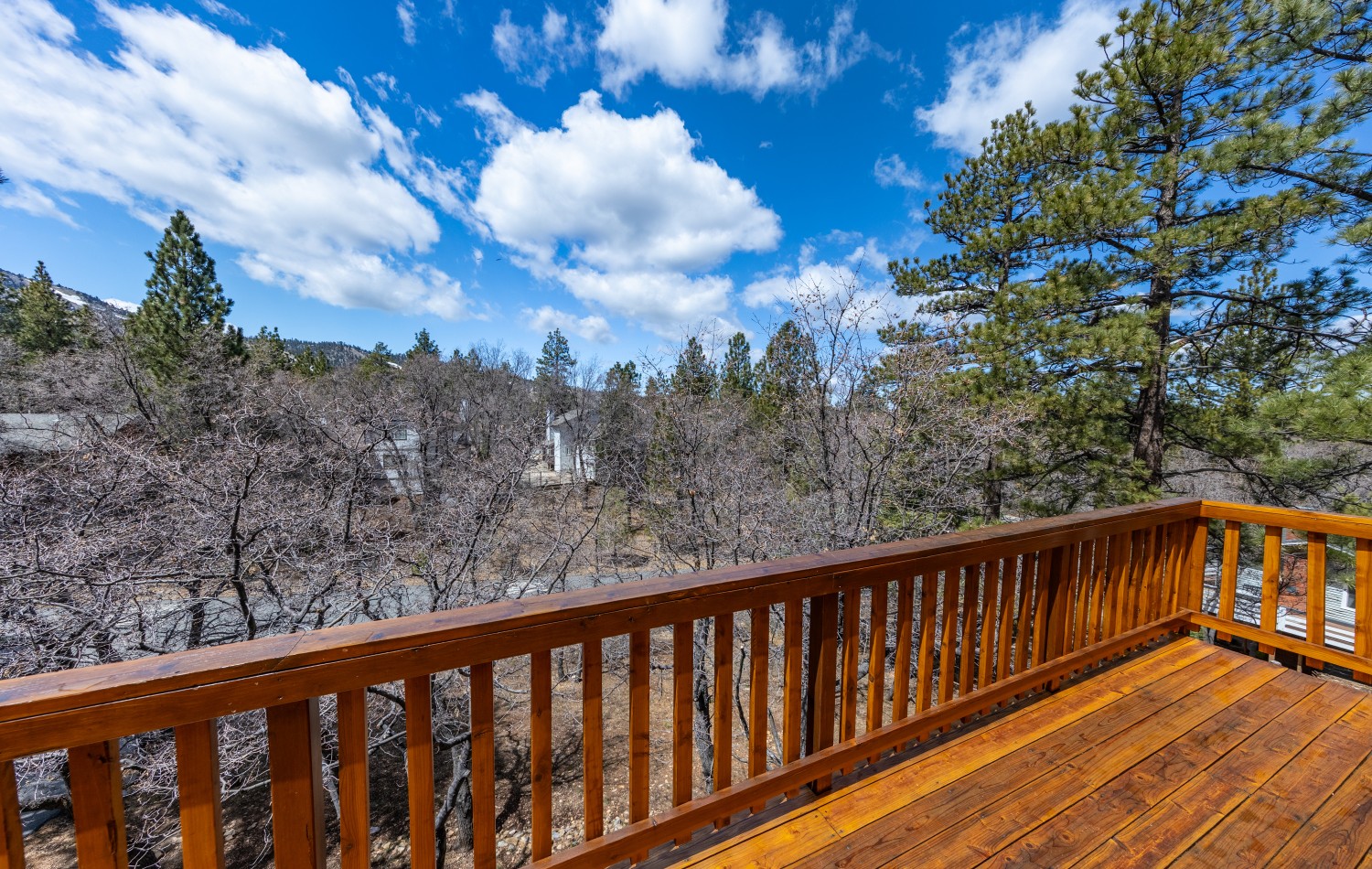 Elfyer - Big Bear City, CA House - For Sale