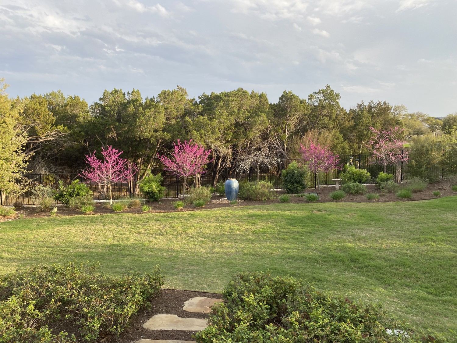 Elfyer - San Marcos, TX House - For Sale