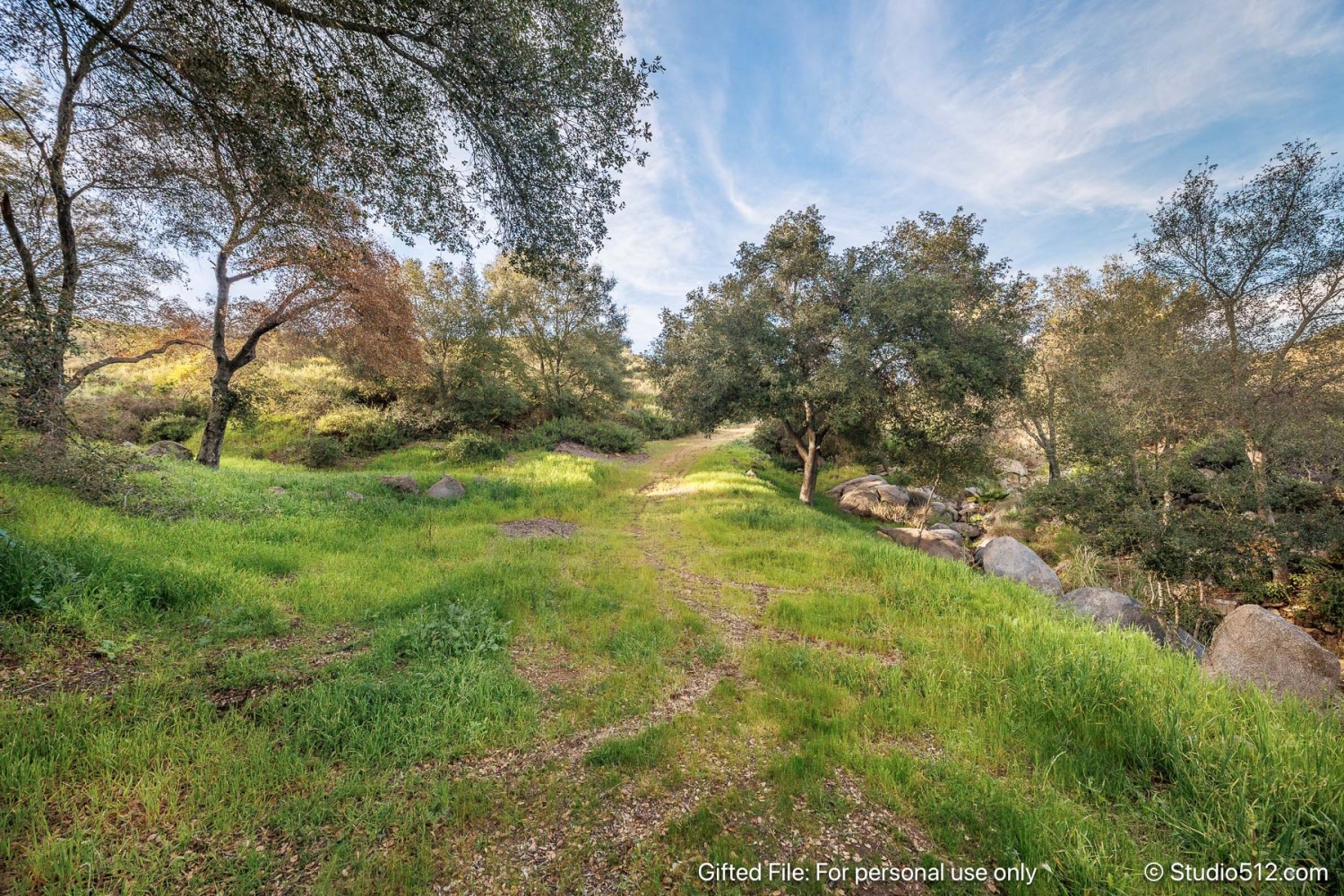 Elfyer - Valley Center, CA House - For Sale
