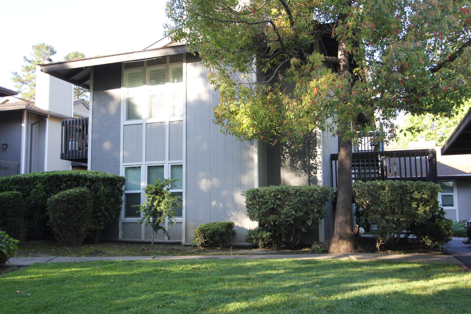 Elfyer - WALNUT CREEK, CA House - For Sale