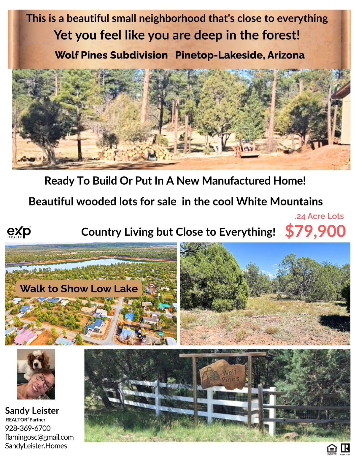 Elfyer - Lakeside, AZ House - For Sale