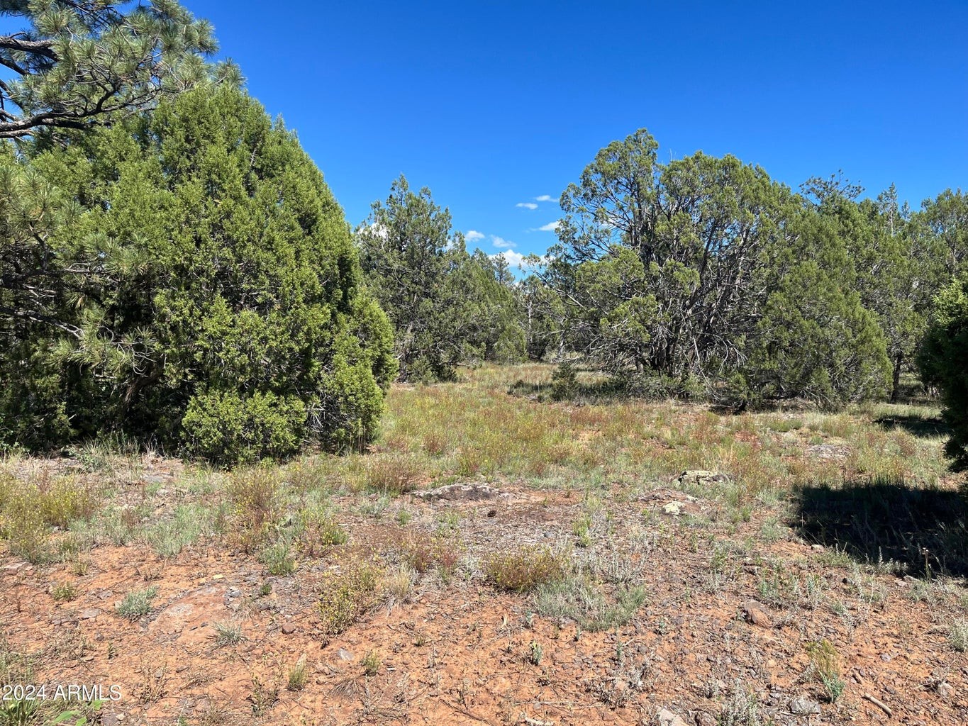 Elfyer - Lakeside, AZ House - For Sale