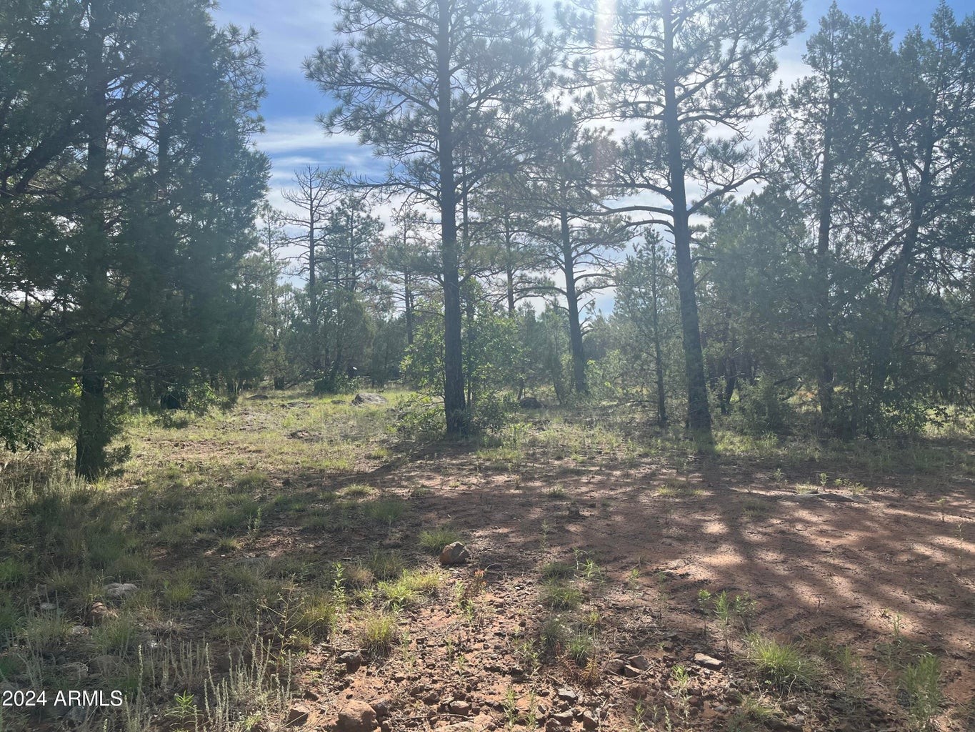 Elfyer - Lakeside, AZ House - For Sale