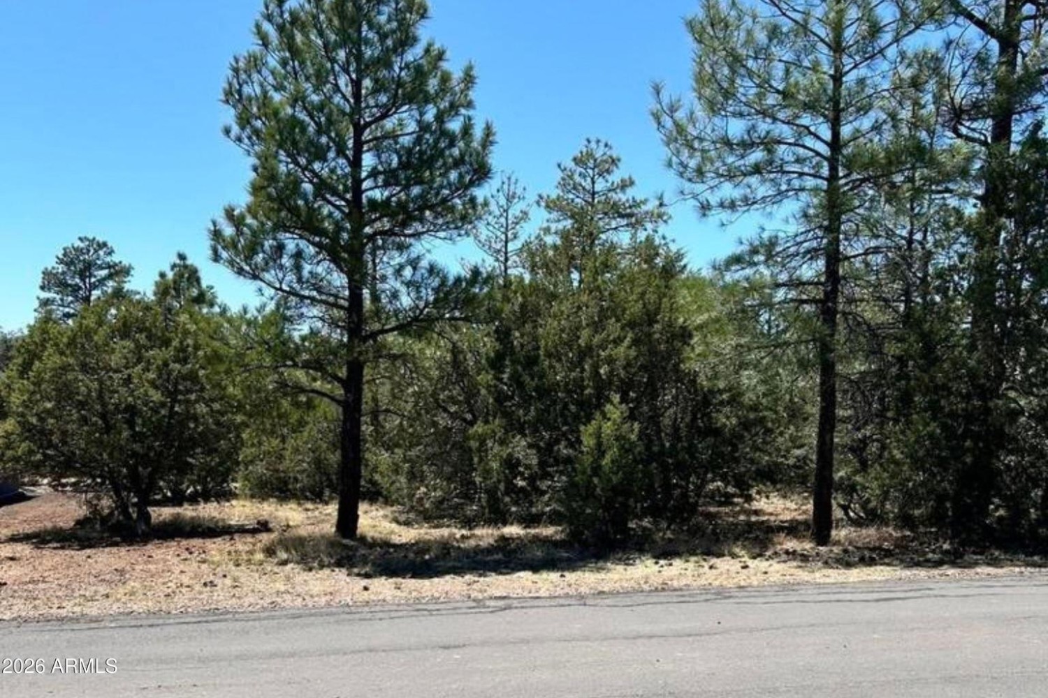 Elfyer - Lakeside, AZ House - For Sale