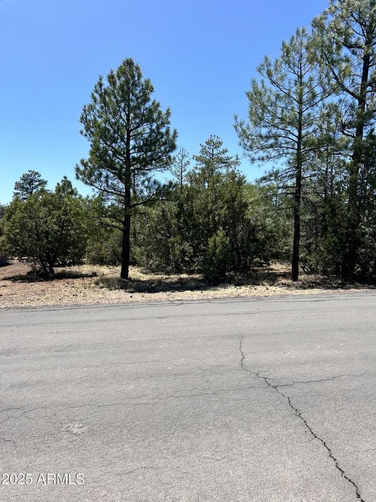 Elfyer - Lakeside, AZ House - For Sale