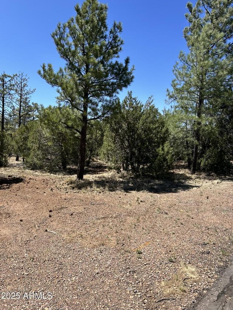 Elfyer - Lakeside, AZ House - For Sale