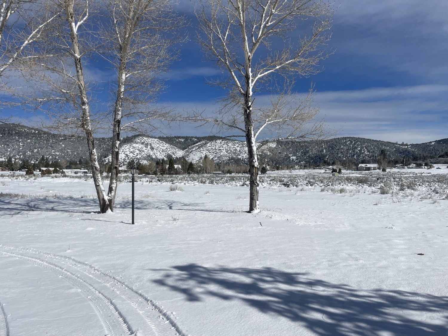 Elfyer - Frazier Park, CA House - For Sale