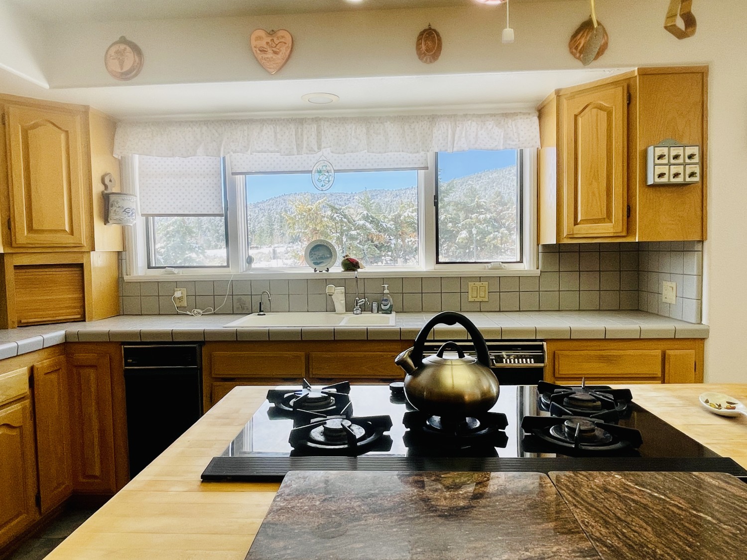 Elfyer - Frazier Park, CA House - For Sale