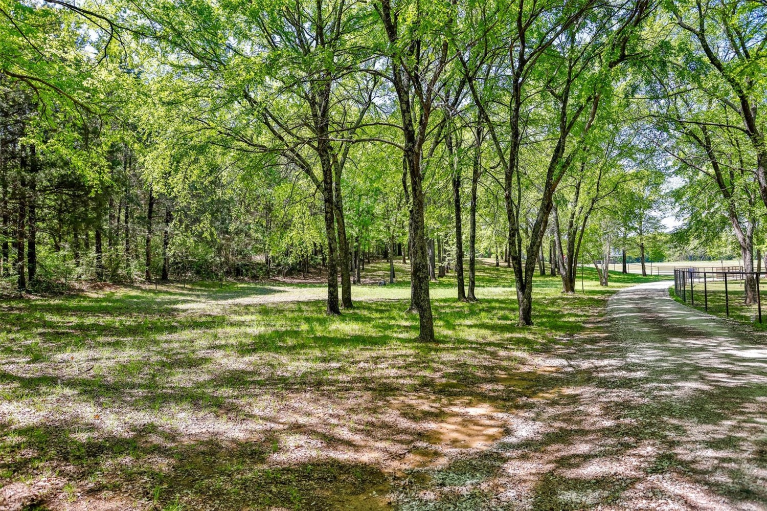 Elfyer - Whitesboro, TX House - For Sale